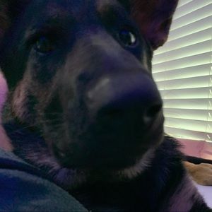 Meet your Posher, Mia